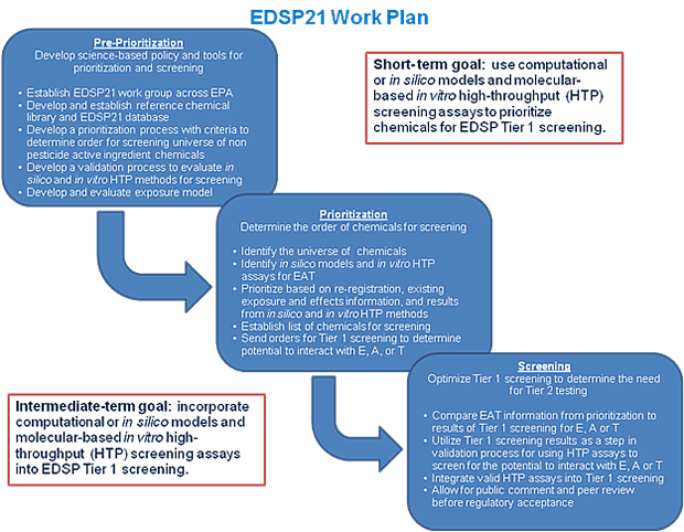 Figure 2: Work Plan activities that will enable reaching the Near-term and Intermediate-term goals.