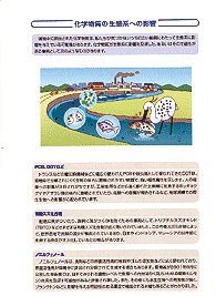 画像:化学物質の生態系への影響