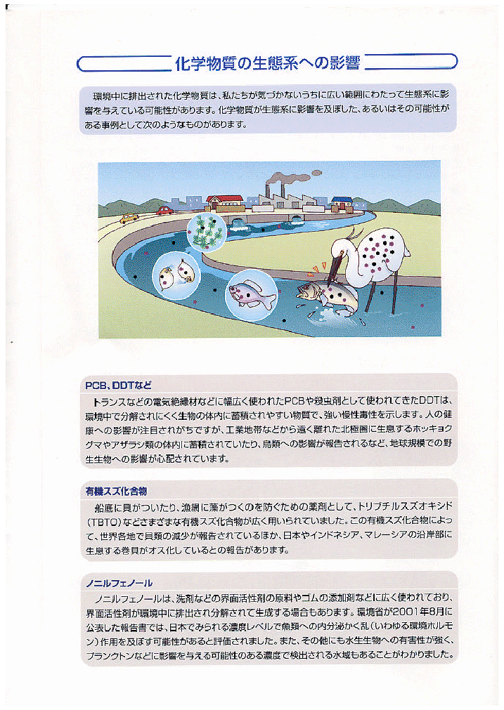 画像：化学物質の生態系への影響