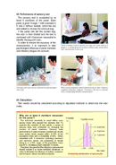 Odor Index Regulation and Triangular Odor Bag Method(page 5)