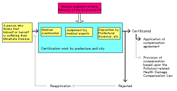 The Minamata Disease Certification System