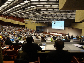 Photo 2: Plenary meeting of COP1