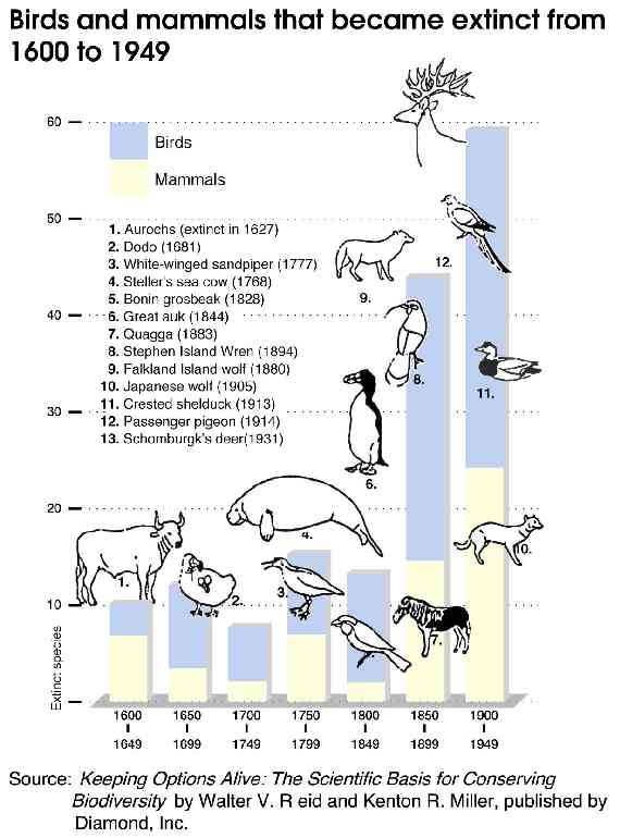 Birds and mammals that become extinct from 1600 to 1949
