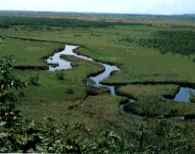 Ramsar site: KUSHIRO-SHITSUGEN