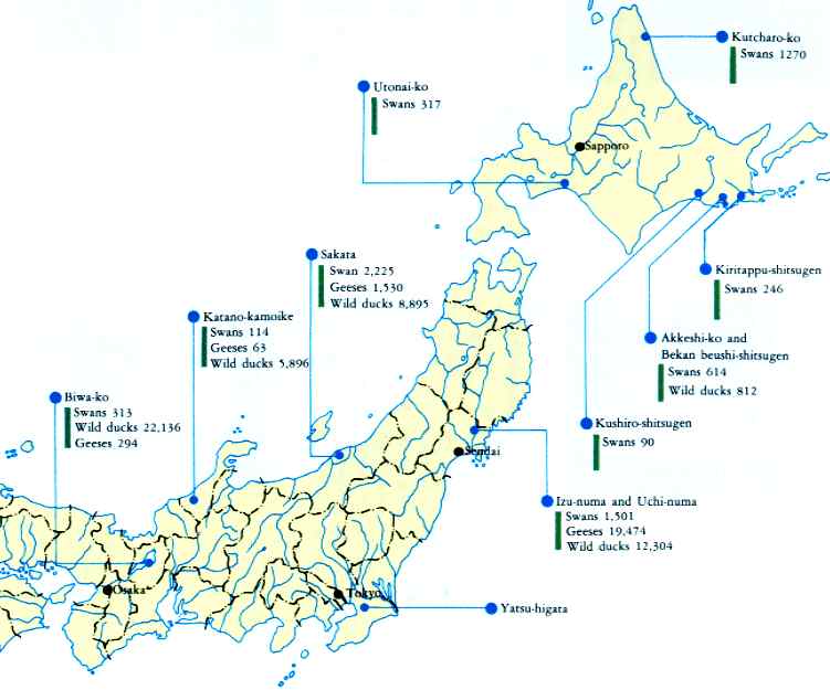 Number of birds visiting Ramsar sites in Japan according to the latest census