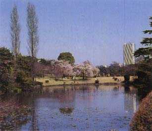 Shinjuku-gyoen National Garden