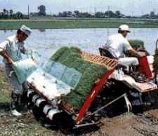 Rice Transplanter with Fertilizer Applicater