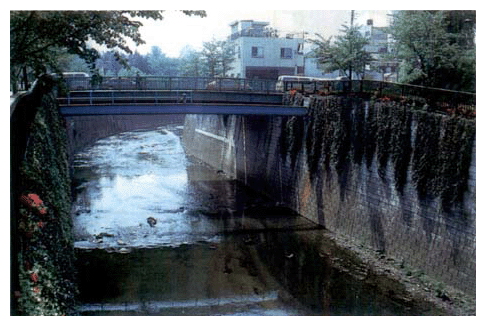 Small urban river (Shakuiji River)