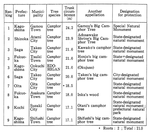 Table 3-2-5 Best 10 Huge Trees in Japan