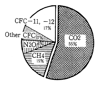Fig. 1-1-13 Contribution of Each Man-Made GHG to Global Warming (1980s)