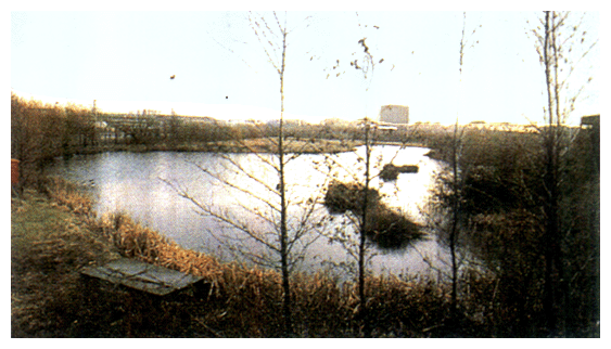 An ecology park created in the suburbs of Manchester as part of the Grand Work Project