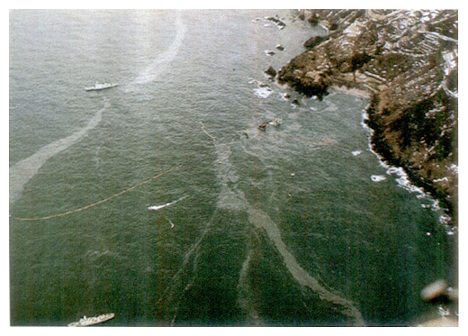 The tanker Maritime Gartynia was stranded off Kyougamisaki in Kyoto Prefecture