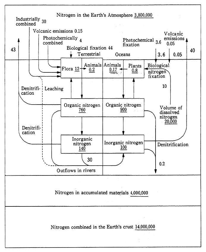 Fig. 2-2 The volume and Flows of the Earth's Nitrogen