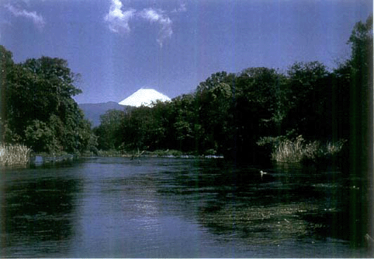 Kakitagawa Springs (Shizuoka Prefecture) -One of the 100 exquisite water of Japan