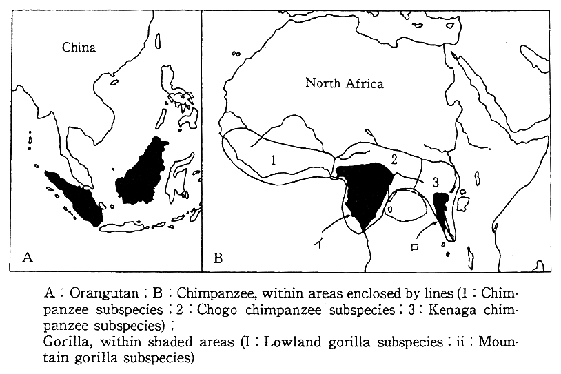 Fig. 1-1-16 Distribution of the Great Apes