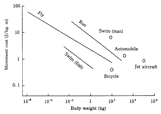 Fig. 1-1-17 Economy of Movement Comparison