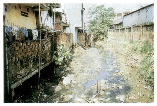 Water pollution condition in the suburbs of Hanoi, Vietnam