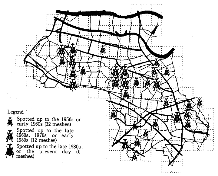 Fig. 3-2-2 Horned Beetle Distribution in Itabashi Ward, Tokyo