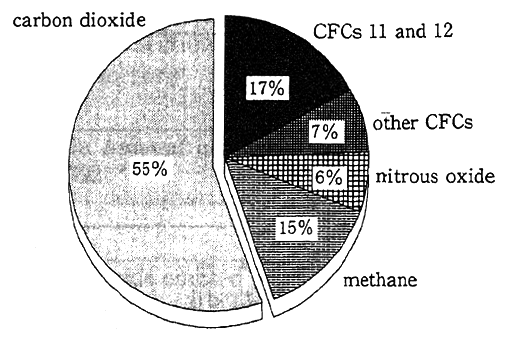 Fig. 5-1-8 Proportions of Greenhouse Gases Derived from Human Activities in the 1980s that contributes to Global Warming