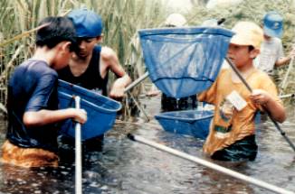 Activities of the Junior Eco-Club