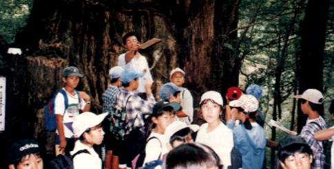 Children learning the history of the Yaku cedar trees