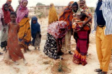 Tree planting activities in Somalia with local 
