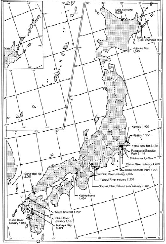 The Maximum Number of Waterfowl Recorded in Fixed Point Observation between 1988 and 1998