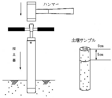 図：2―7　土壌採種の一例