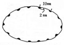 図：乗入れ規制地区