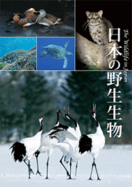 日本の野生生物の表紙画像