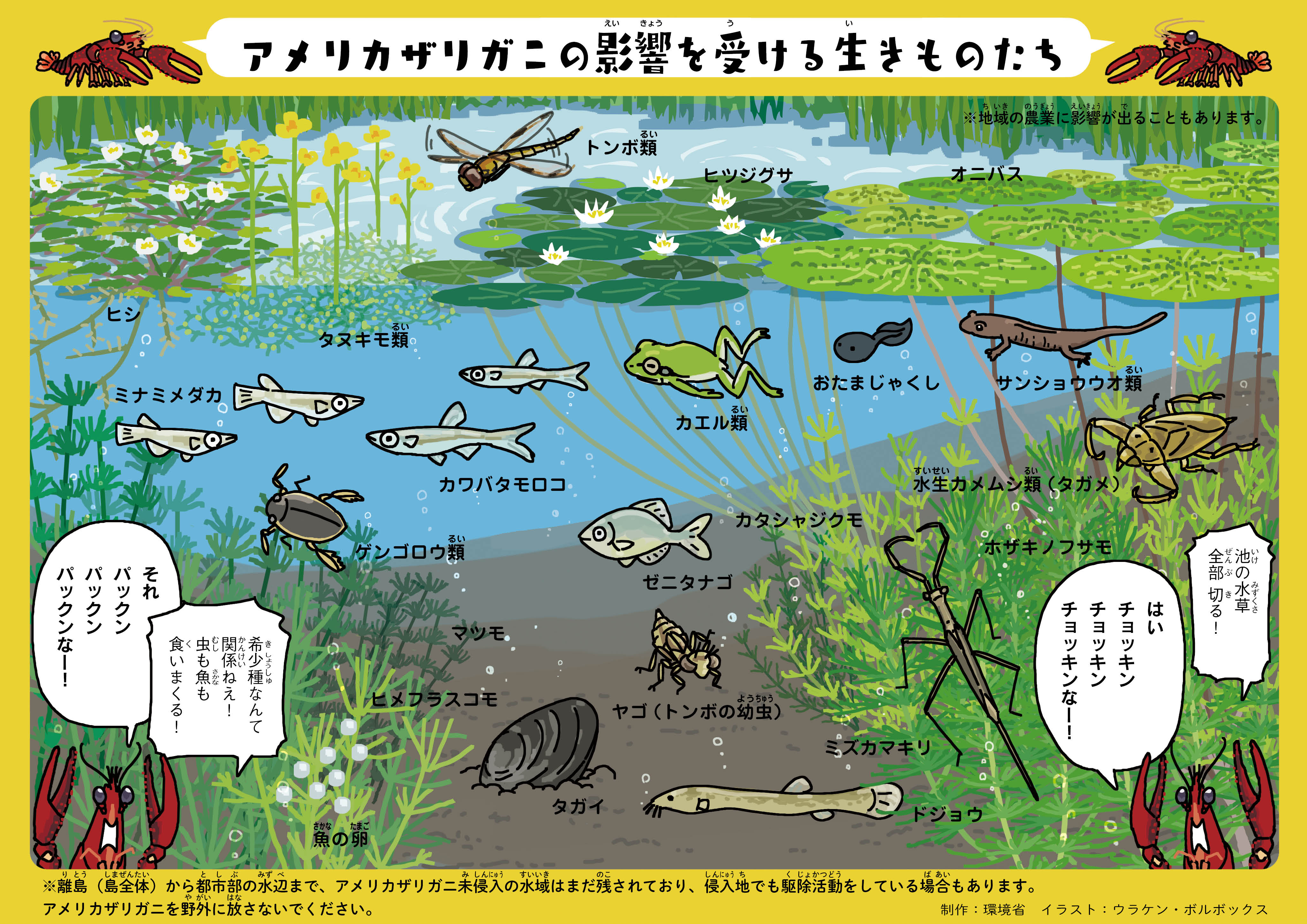 何が問題なの 水草 全部切る 自然環境 生物多様性 環境省