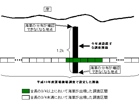 図７「深場藻場の調査測線の設置イメージ」