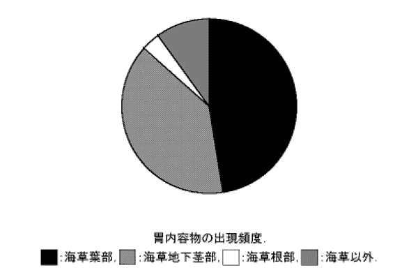 図１５「海草の葉部、地下茎部、根部の出現割合」