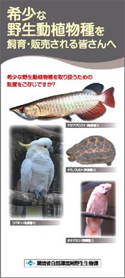 希少な野生動植物種を飼育・販売される皆さんへ