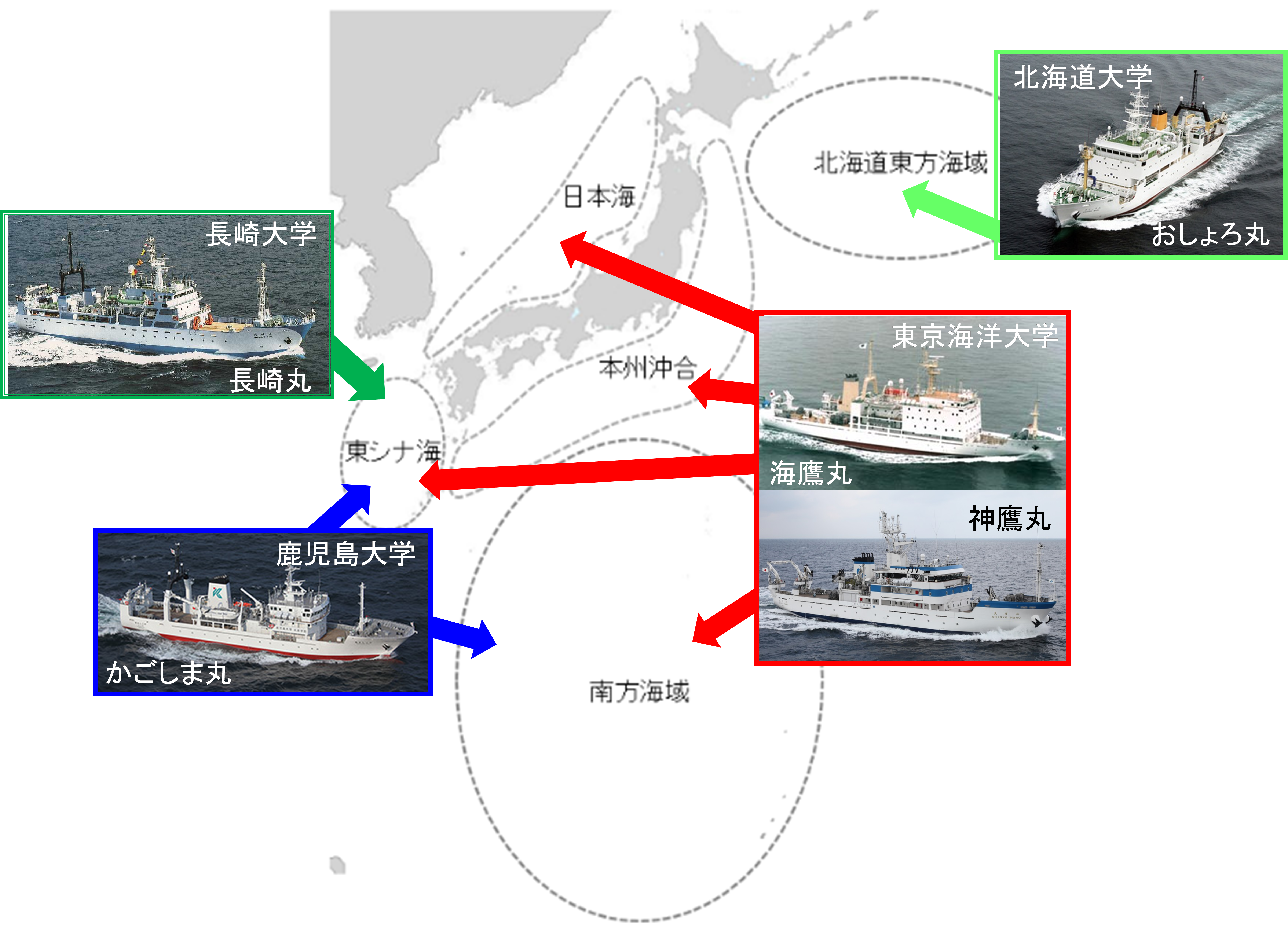 練習船により目視観測や試料採取