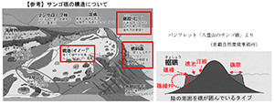 【参考】サンゴ礁の構造について