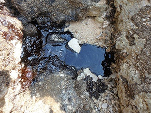 岩場で確認された油状の物