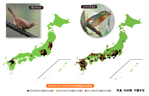 図：ガビチョウとソウシチョウの分布拡大の状況