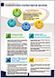 CAI Brochure