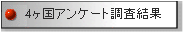 ４カ国アンケート調査結果