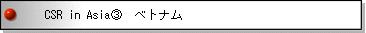 開発途上地域における企業の社会的責任 CSR in Asia