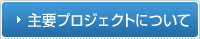 主要プロジェクトについて