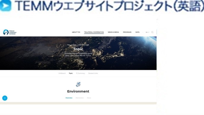 TEMMウェブサイトプロジェクト(英語)