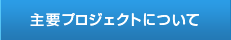 主要プロジェクトについて