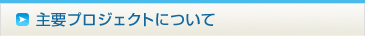 主要プロジェクトについて