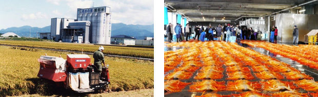 Rice farming / Sea foods of Toyama Bay, “Natural Live-Box”