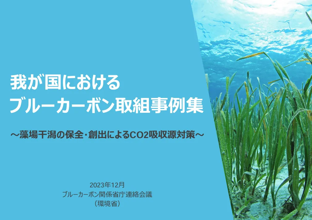 我が国のブルーカーボン取組事例集