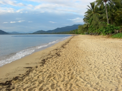Palm Coveの海岸風景