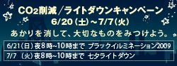 ライトダウンキャンペーン(外部リンク)