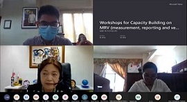 First virtual workshop